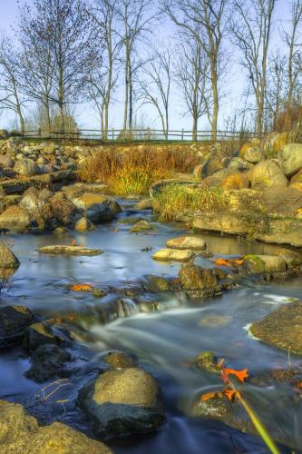 Sunny Day Fish Bridge