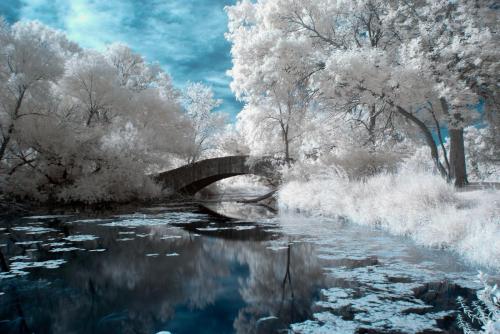 Tenney-Park-Bridge-Infrared-2