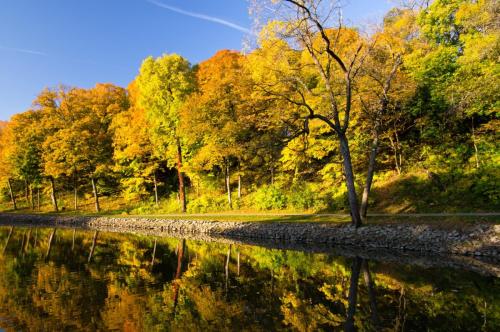 The Colors of Krape Park