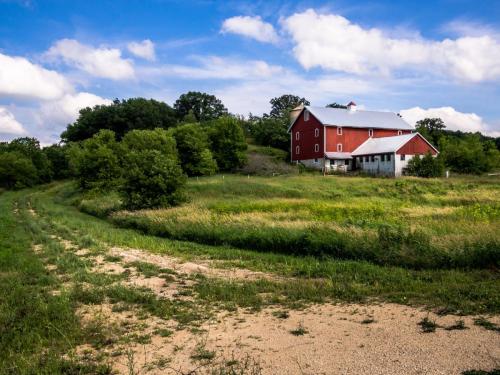 An old red barn and silo in an overgrown pasture in Southern Wisconsin