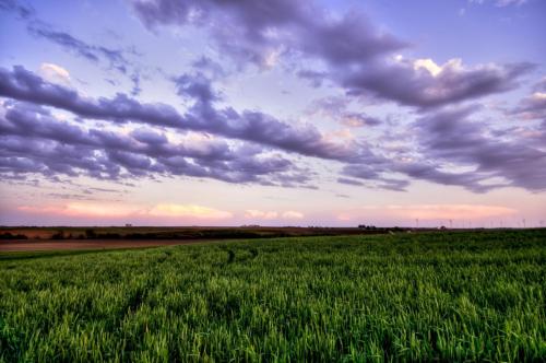 The Sky Over Illinois