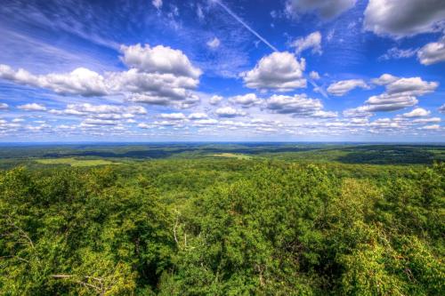 Tremondous View of Wisconsin from the East Tower