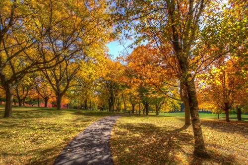 Twining Park - Autumn Trail