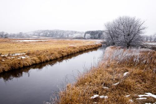 Warm Winter Frost and Fog Stream