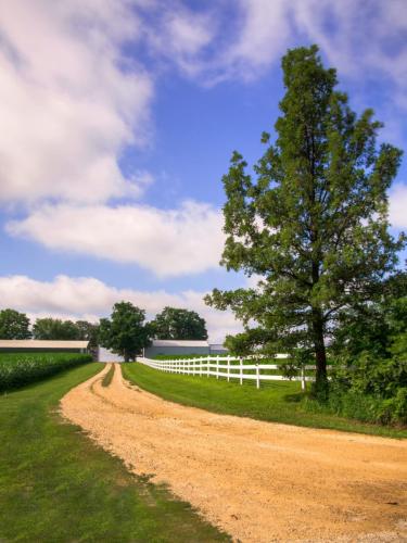 White Fence Lane