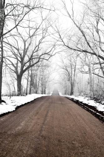 Winter Fog and Frost Drive