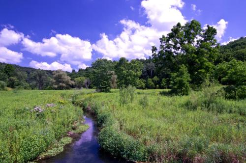 Wisconsin Trout Stream Landscape