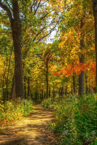 Wyalusing State Park Trail